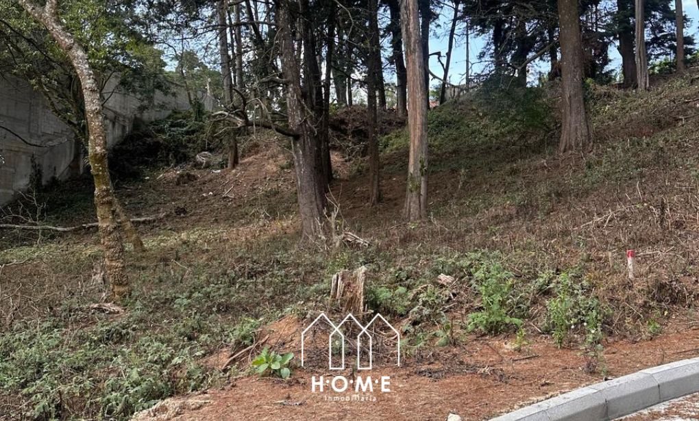 TERRENOS EN FINCA EL SOCORRO, KM 13.1 CAES