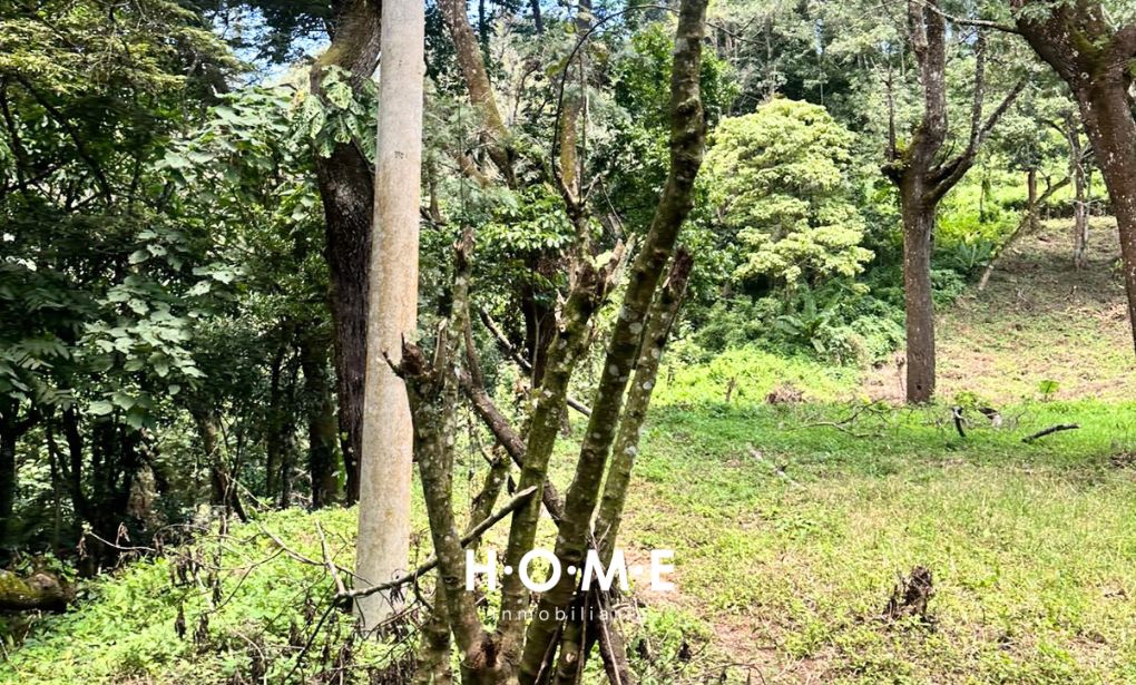 TERRENO EN COLMENAS