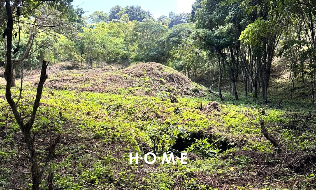 TERRENO EN COLMENAS