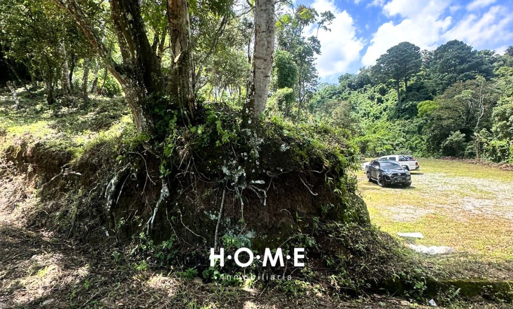 TERRENO EN COLMENAS