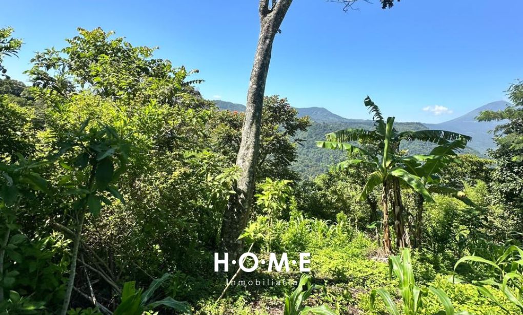 TERRENO EN EL TABLÓN, AMATITLÁN