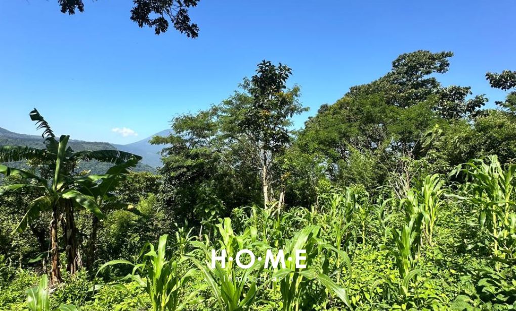TERRENO EN EL TABLÓN, AMATITLÁN