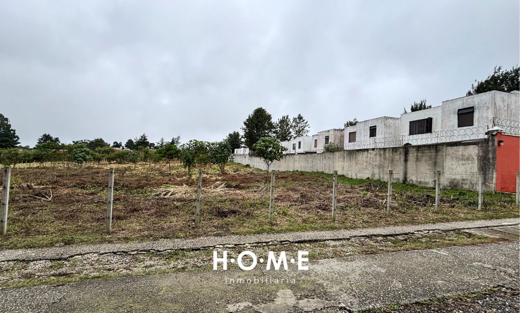 TERRENO PARA DESAROLLO, KM 19 CAES