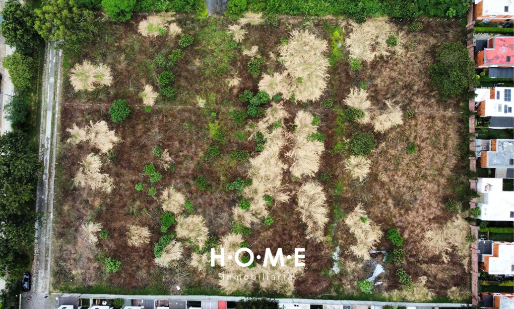 TERRENO PARA DESAROLLO, KM 19 CAES
